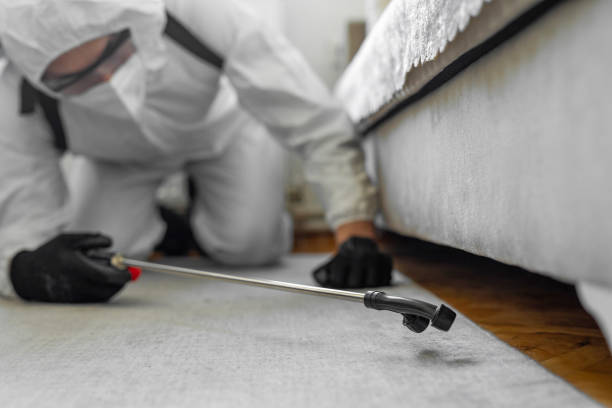 Professional Emergency Pest Control technician working in Medford Lakes, NJ