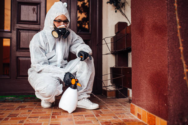 Reliable Emergency Pest Control contractor in Medford Lakes, NJ by Nex Pest Control